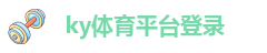 ky体育平台下载APP